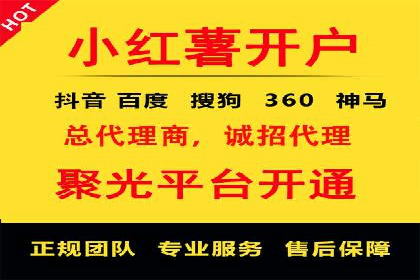 百度竞价推广案例：行业领军者成长故事